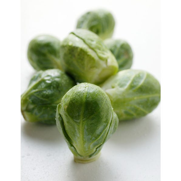 Chou de Bruxelles 