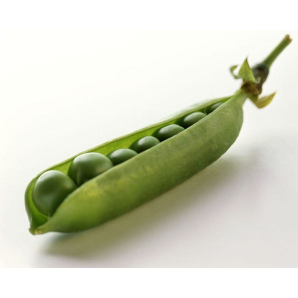 Petit Pois 