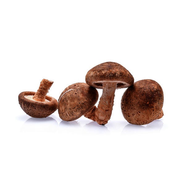 Champignon Shiitaké 