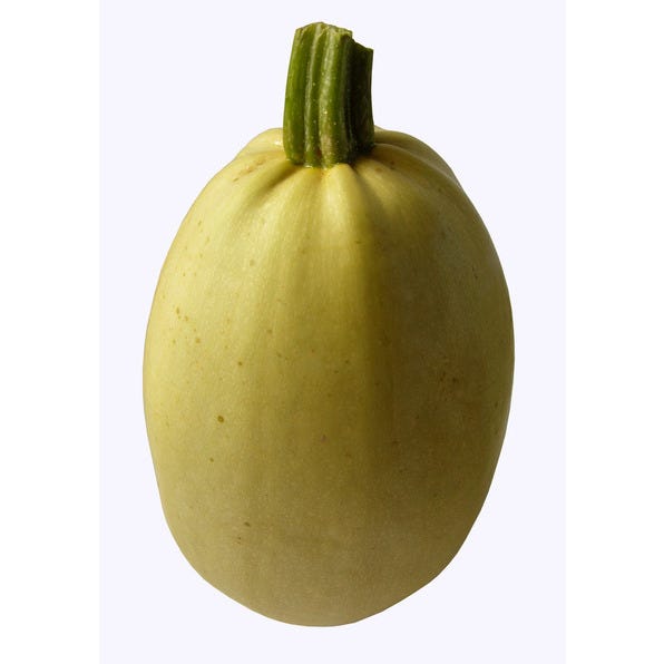 Courge Spaghetti 